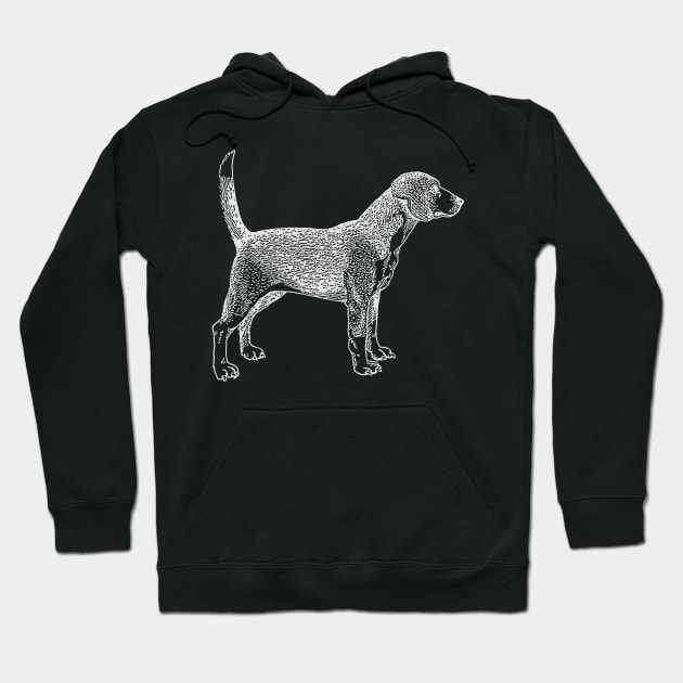 Beagle Pet Dog Line Art Drawing Hoodie by terrybain